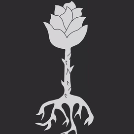 черно белая роза пускающая корни