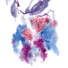 Веточка сирени