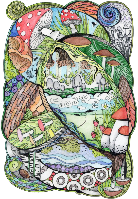 Царство грибов