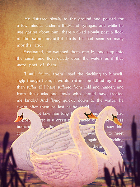 The Ugly Duckling 26