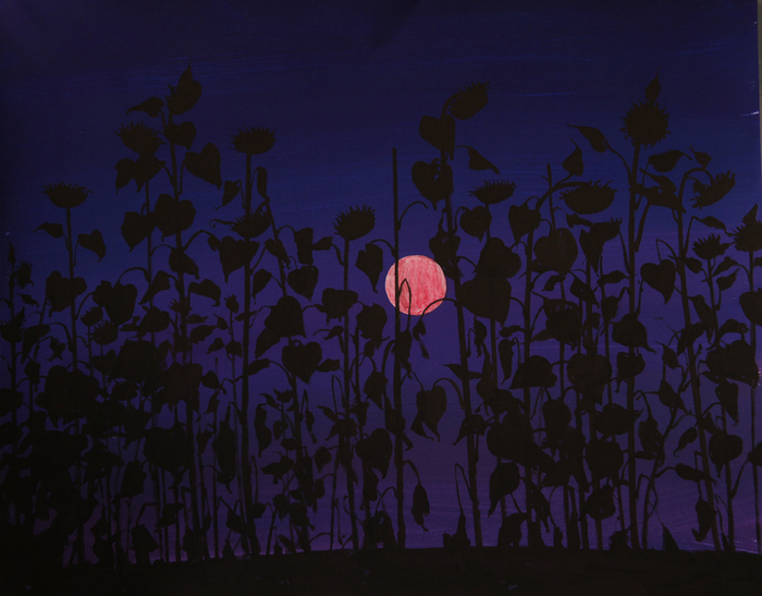 Ночь. Подсолнухи.