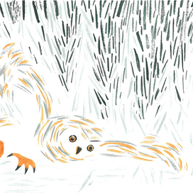 Зимний вестник