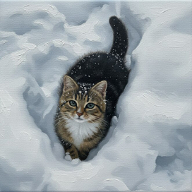 Котик в снегу 