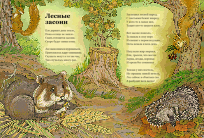 Лесные засони