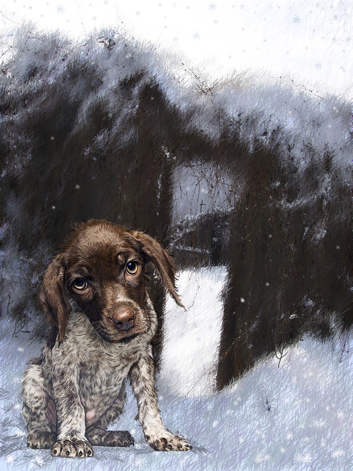 Потерялся  ***