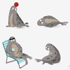 Забавный морской котик