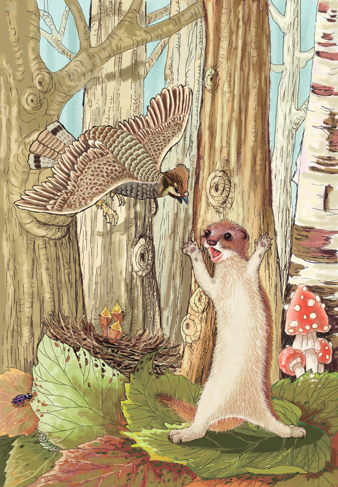 Прочь, плохая Ласка!