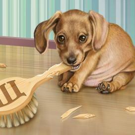 Щенок, щетка, щепки