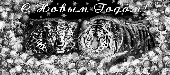 С Новым годом! Леопард и тигр поздравляют .