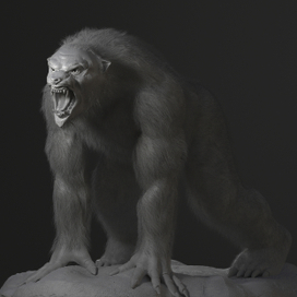 медведь-оборотень