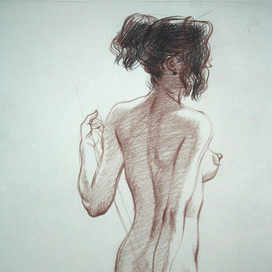 Модель со спины