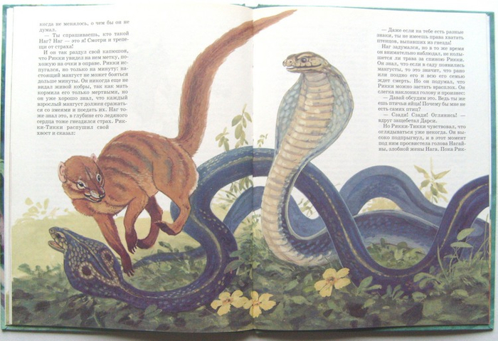 иллюстрация к сказкам Киплинга