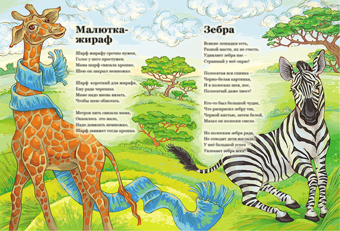 Жираф и зебра