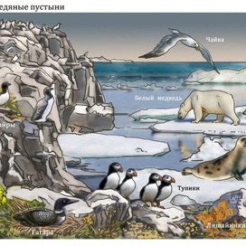 Ледяные пустыни