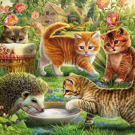 нежданный гость