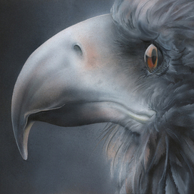 Гордая птица