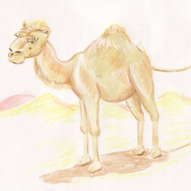 Верблюжёнок