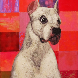 Аргентинский дог