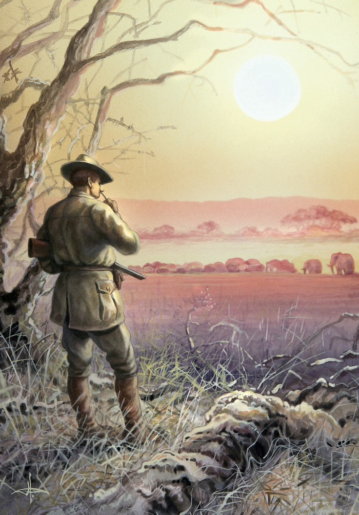 Солнце Африки...