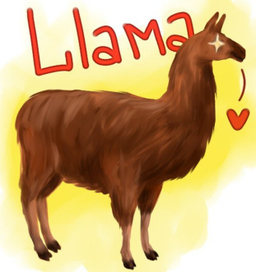 Лама :3