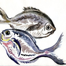 "Рыба Вомер"