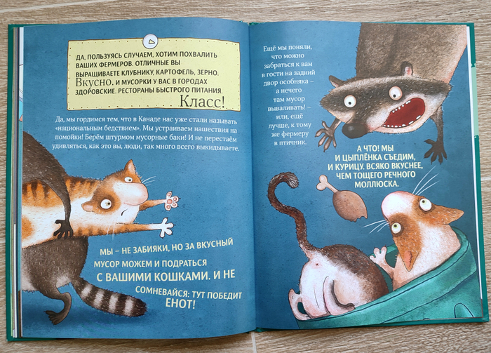 Чем хороши еноты