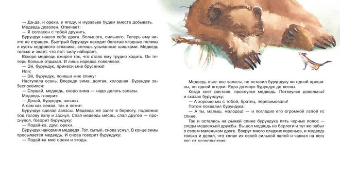 серия времена года:Лето