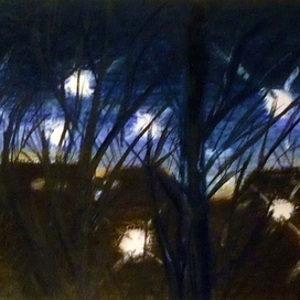 ночной пейзаж