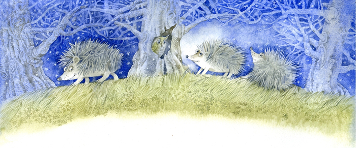 Иллюстрация к книге Л. Стружецкой "Ночь Жука Светлячка" 2