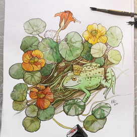 Царевна-лягушка