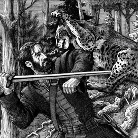 Рысь атакует