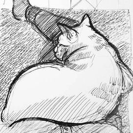 Вид сверху. 