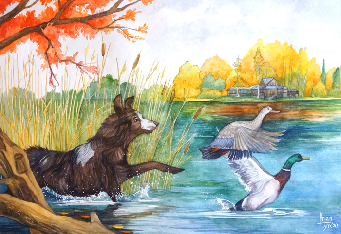 Охотничья собака