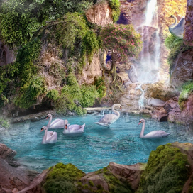 Лебединый карьер