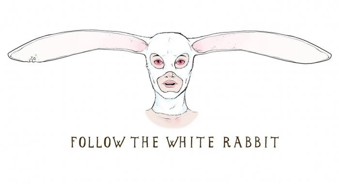 Follow the white rabbit