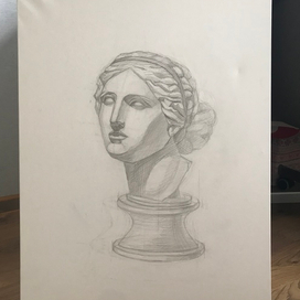 Голова Венеры Милосской 50х70