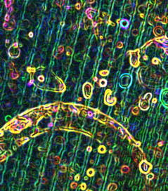 Дождь. Над Оврагом.