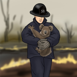 Спасение коалы