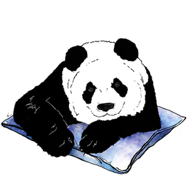 Панда-принт