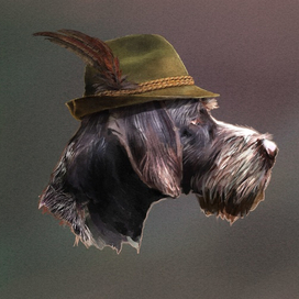 Драат в охотничей шляпе