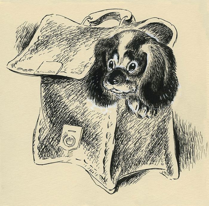 Чарушин "Про Томку" Изд."Малыш" Редактор О.Ведерников