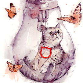 Иллюстрация для Kokos Social Media