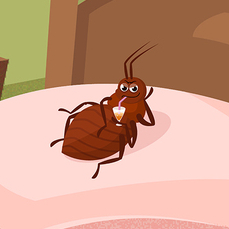 Иллюстрация для рекламного анимационного ролика "Средства по борьбе с насекомыми"