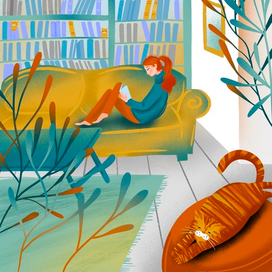 Найти пять котов