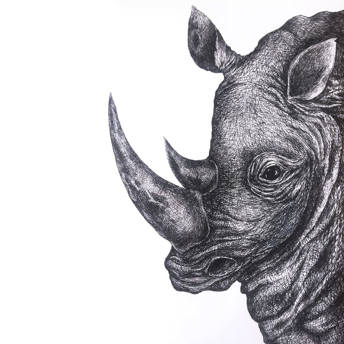 Иллюстрация для упаковки шоколада