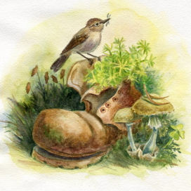 Природа и человек