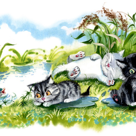 Приключения закончились