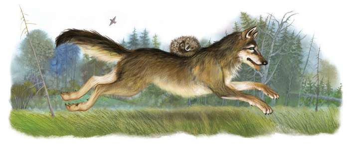 волк и ёжик