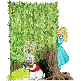 За белым кроликом