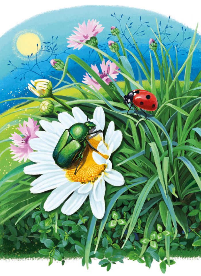 "Доброе колдовство" Ирина Гурина